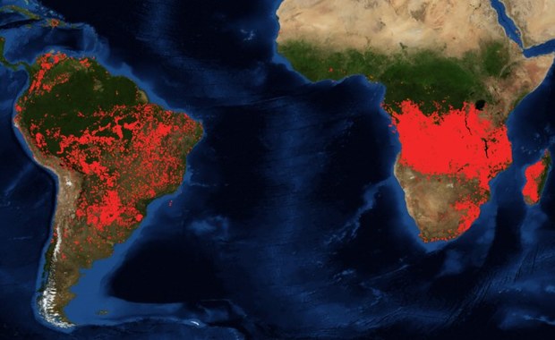 Dramatyczna sytuacja na południu Afryki. Pożary sieją spustoszenie