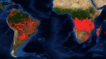 Dramatyczna sytuacja na południu Afryki. Pożary sieją spustoszenie