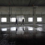 Dramatyczna sytuacja Polaków w Holandii. Wyzysk i praca na gorszych warunkach