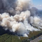 Dramatyczna walka z ogniem w niemieckiej Brandenburgii: Pożary objęły 150 hektarów!