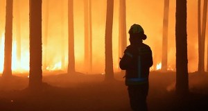 Dramatyczna walka z pożarem lasu na Lubelszczyźnie. W akcji zginął doświadczony pilot