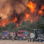 Dramatyczna walka z żywiołem w Turcji. Płoną domy, schroniska dla psów i meczety