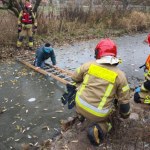 ​Dramatyczne chwile w Olsztynie. 10-latek na pękającym lodzie 