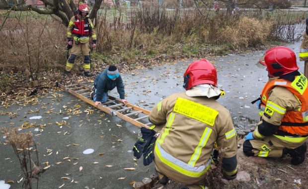 ​Dramatyczne chwile w Olsztynie. 10-latek na pękającym lodzie 