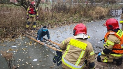​Dramatyczne chwile w Olsztynie. 10-latek na pękającym lodzie 