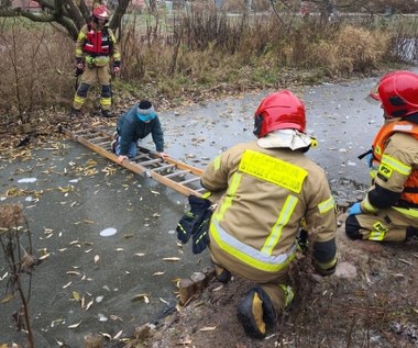 ​Dramatyczne chwile w Olsztynie. 10-latek na pękającym lodzie 