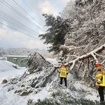 Dramatyczne doniesienia z Korei Południowej. Powodem atak zimy