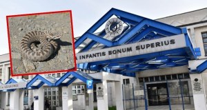 Dramatyczne kulisy walki o życie nastolatka ukąszonego przez żmiję