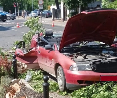 Dramatyczne nagranie. Drzewo spadło na samochód!