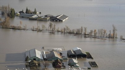 Dramatyczne ulewy w Kanadzie. Kolumbia Brytyjska wprowadza stan wyjątkowy