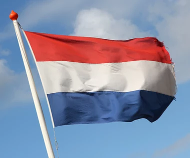 Dramatyczne warunki migrantów zarobkowych w Holandii. Tutaj jest najgorzej