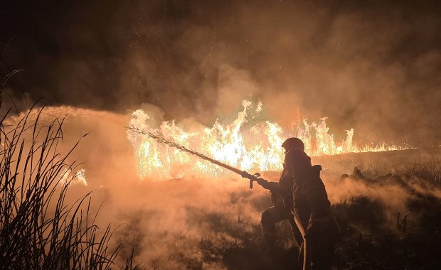 Dramatyczny weekend na Podkarpaciu. Ponad 200 pożarów traw