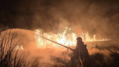 Dramatyczny weekend na Podkarpaciu. Ponad 200 pożarów traw