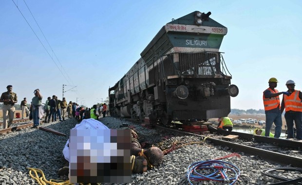Dramatyczny wypadek. Pociąg wjechał w stado słoni