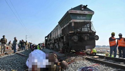 Dramatyczny wypadek. Pociąg wjechał w stado słoni