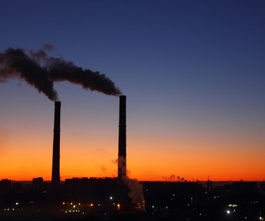 Cursa dramatică între sectorul energetic și prețurile dioxidului de carbon