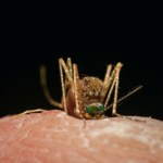 Drapanie się sprawia jednocześnie przyjemność i ból. To błędne koło