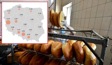 Drastyczne podwyżki cen chleba. W którym województwie zapłacisz najwięcej?