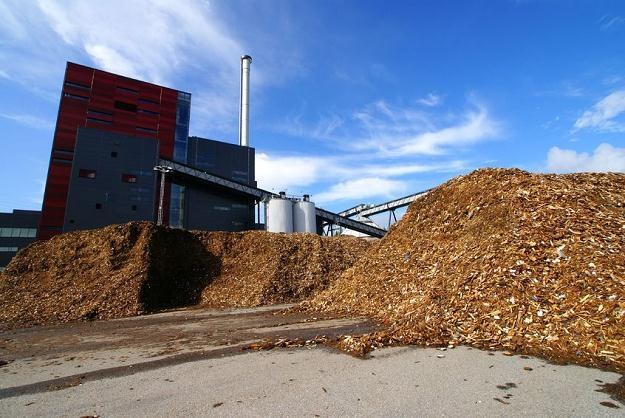Drastycznie spada produkcja energii z biomasy /&copy;123RF/PICSEL