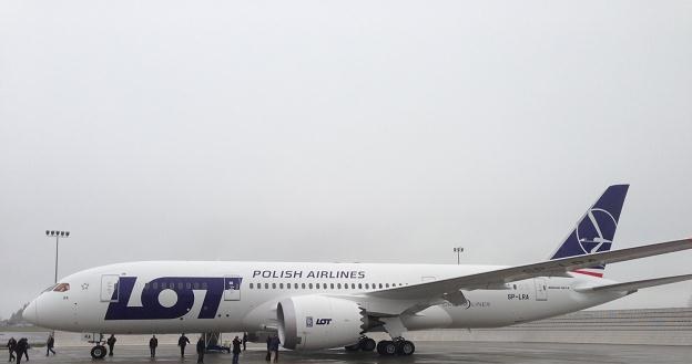 Dreamliner był w centrum uwagi polskich mediów /RMF