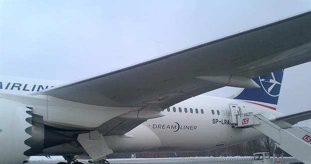 Dreamliner w barwach Lotu. Fot. Krzysztof Mrówka /INTERIA.PL