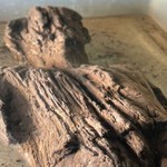 Drewniana figura sprzed 2000 lat. Niebywałe znalezisko z czasów rzymskich