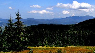 Drewniane bale zamiast krawężników. Były dyrektor parku narodowego z zarzutami