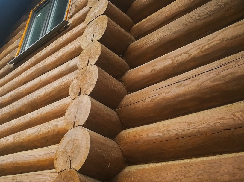 Drewniane domy w Polsce wciąż są rzadkim widokiem, ale ich popularność rośnie /123RF/PICSEL