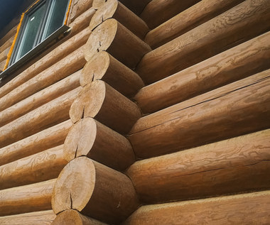 Drewniane domy w Polsce wciąż są rzadkim widokiem, ale ich popularność rośnie. Zaletą jest komfort użytkowania i energooszczędność