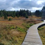 Drewniane pomosty i piękne widoki. To jedyny taki rezerwat w Bieszczadach