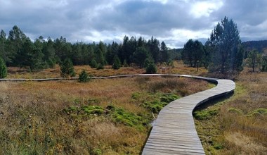 Drewniane pomosty i piękne widoki. To jedyny taki rezerwat w Bieszczadach