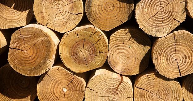 Drewno używane jest, poza produkcją papierniczą, również do produkcji materiałów budowlanych i mebli /&copy; Panthermedia
