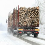 Drewno z polskich lasów dalej znika za granicą. MKiŚ mówi o rekordowym spadku