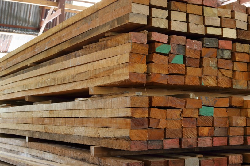 Drewno z Rosji zalewa Polskę. Jest tanie i niskiej jakości. Polscy producenci są bezradni /123RF/PICSEL
