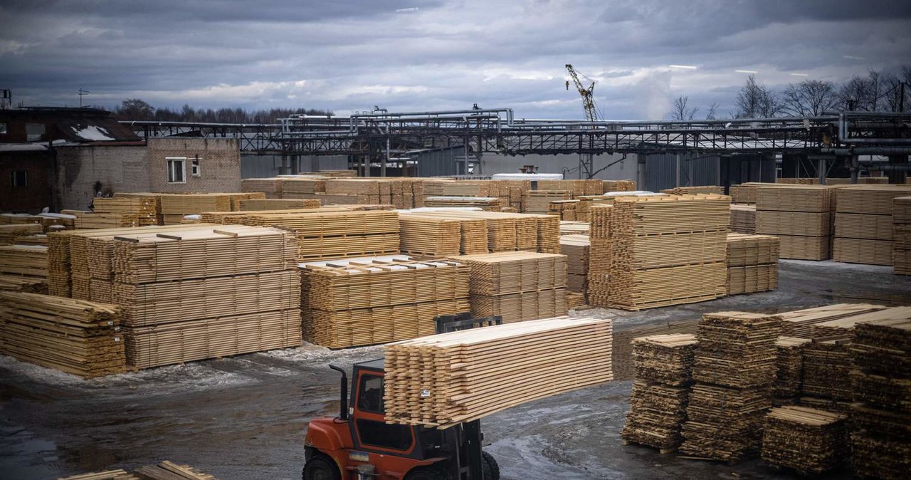 Drewno z Rosji zostanie objęte embargiem w ramach piątego pakietu sankcji /AFP