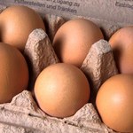 Drobiarze: Nowy program zwalczania salmonelli może spowodować wzrost cen jaj
