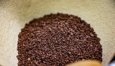 Drobne ziarenka szczególnie polecane seniorom. Poprawiają pamięć i dodają sił, w odchudzaniu też pomogą