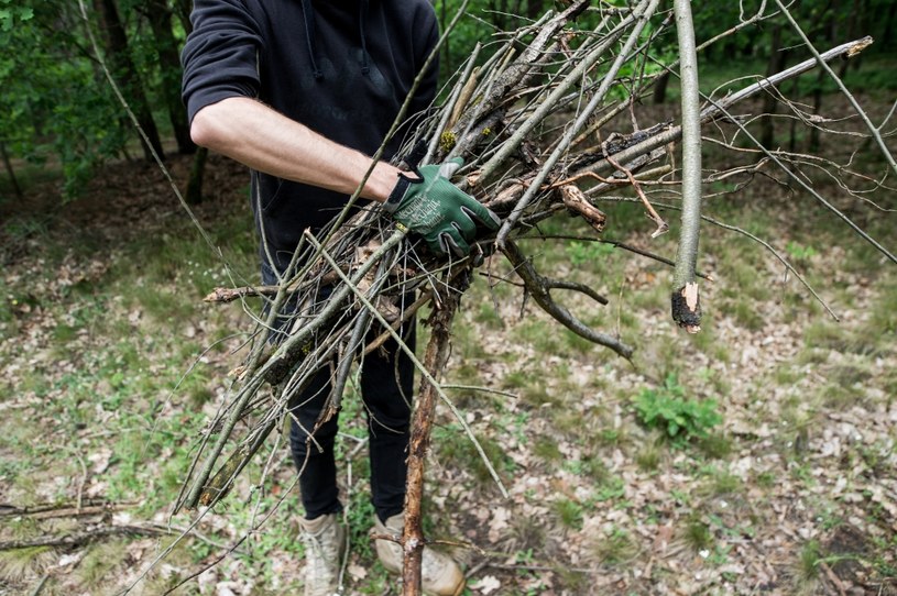 Drobnicę gałęziową, czyli chrust, będzie można za zezwoleniem leśniczego i w miejscu wskazanym przez leśny nadzór przygotować sobie samodzielnie, a potem odebrać własnym transportem /Daniel Dmitriew /Agencja FORUM