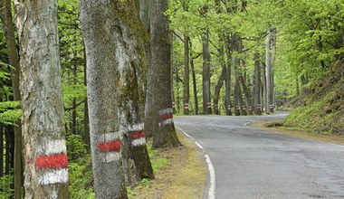 Droga 100 zakrętów zamknięta. Naprawa potrwa wiele miesięcy