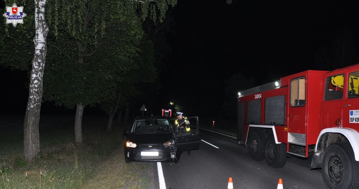 Droga była nieoświetlona, a pieszy nie miał na sobie odblasków. /Policja Lubelska /Policja