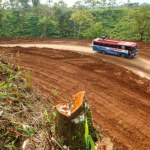 Droga do katastrofy. Połączenie krajów degraduje lasy