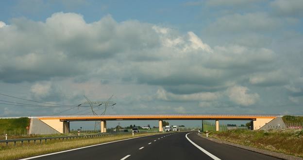 Droga ekspresowa - niemal jak autostrada / Fot: Stanisław Kowalczuk /East News