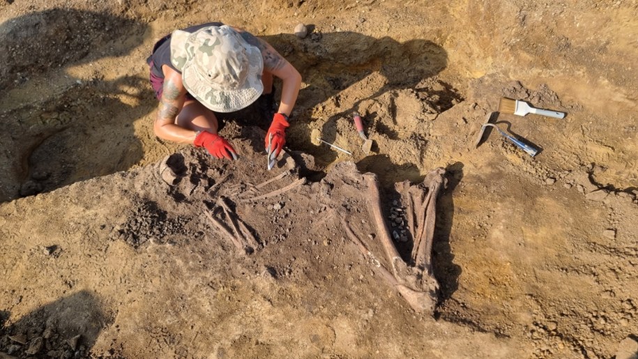 Droga ekspresowa S8 na Dolnym Śląsku: Niezwykłe odkrycia archeologiczne /foto: fot. Magdalena Szumiata/GDDKIA /