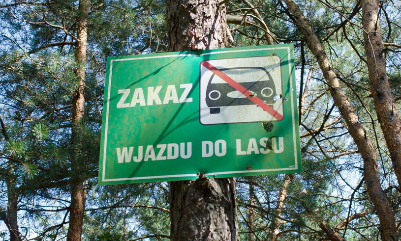 Droga leśna nie musi być oznakowana by obowiązywał na niej zakaz wjazdu. Wynika to z przepisów PoRD /ANDRZEJ ZBRANIECKI /East News