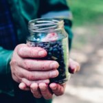 Drogi i prawdopodobnie krótki sezon na jagodzianki. Owoców w tym roku mniej
