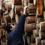 Drogie drewno wygnało polskie firmy na Wschód