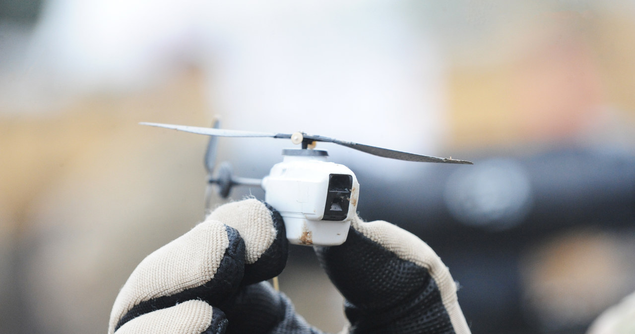 Dron Black Hornet Nano mierzy waży 18 gramów. Jego śmigło ma 12 cm /Richard Watt /Wikimedia