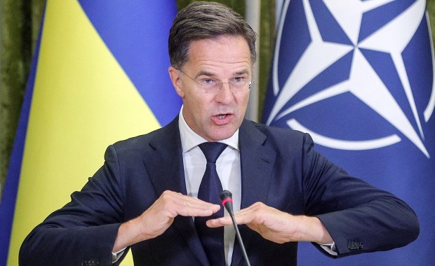 Dron eksplodował w Osinach. Szef NATO zabrał głos