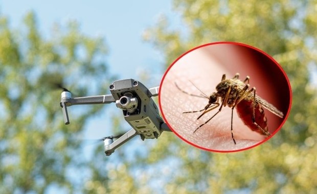 Dron kontra komary. Wrocław walczy z uporczywymi owadami 
