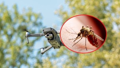 Dron kontra komary. Wrocław walczy z uporczywymi owadami 
